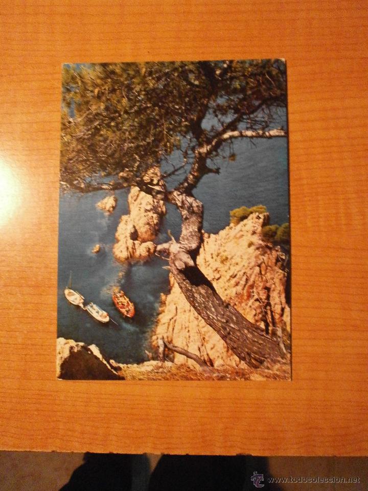 Postales: POSTAL  COSTA BRAVA ROCAS Y PINOS CIRCULADA