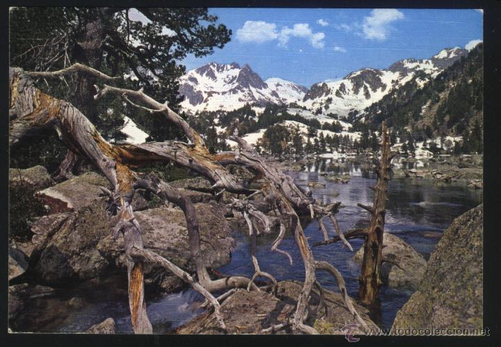 Postales: A-1649- LERIDA. VALLE DE ESPOT.