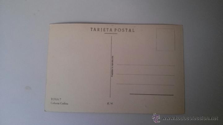 Postales: POSTAL TONA COLONIA CODINA-SIN CIRCULAR-E.M. - Foto 2