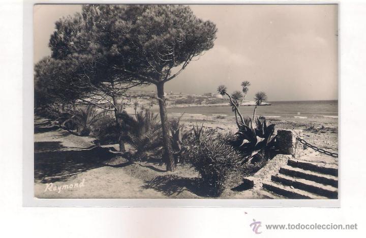Postales: POSTAL DE ALTAFULLA  LA PLAYA DESDE EL PINAR . - Foto 1