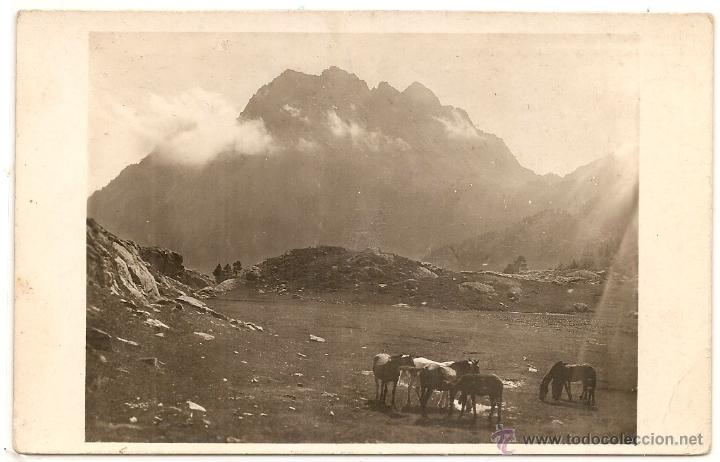 Postales: Valle de Ar&aacute;n. Arties - Foto 1
