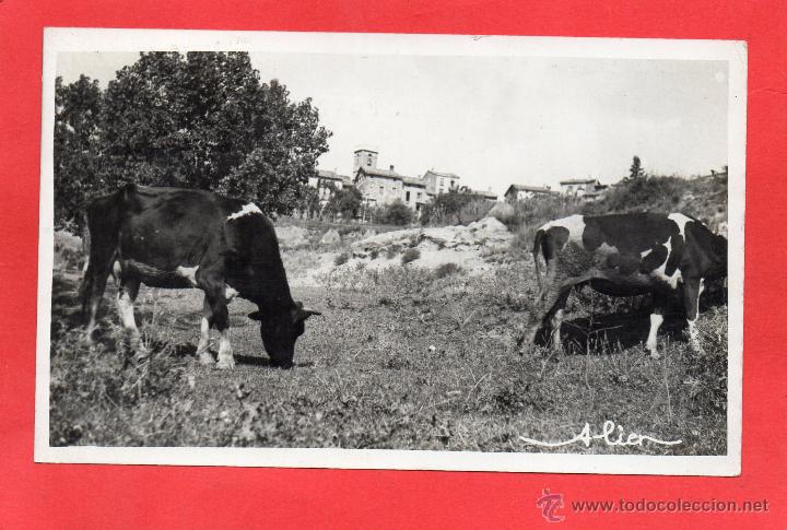 Postales: borreda. vista parcial - Foto 1