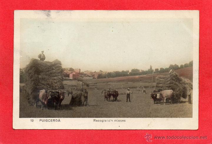 Postales: puigcerda. 10 recogiendo mieses