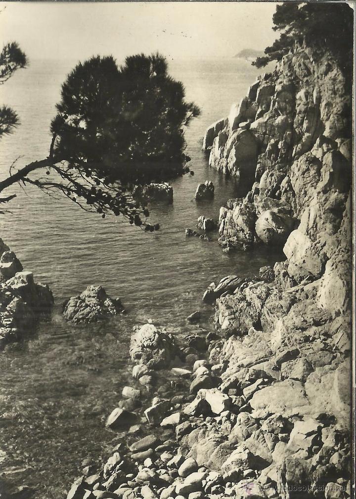 Postales: GERONA LLORET DE MAR ESCRITA - Foto 1