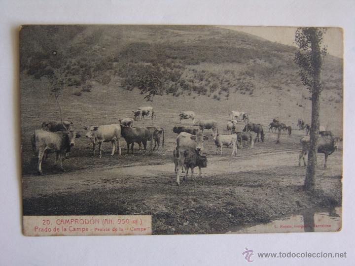Postales: POSTAL DE CAMPRODON PRADO DE LA CAMPA - Foto 1