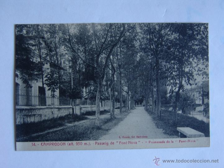 Postales: POSTAL DE CAMPRODON PASSEIG DE FONT NOVA - Foto 1