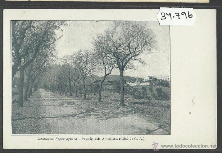 Postales: ESPARRAGUERA - PASSEIG DELS AMETLLERS - IMP&middot; LA HORMIGA DE ORO - (34796)
