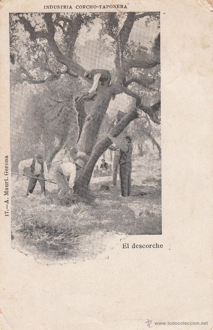 Postales: POSTAL A. MAURI NUM. 17 - INDUSTRIA CORCHO TAPONERA- EL DESCORCHE