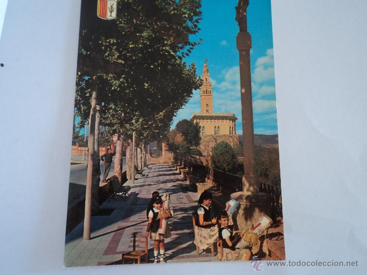 Postales: POSTAL DE ARBOS PUNTAIRES