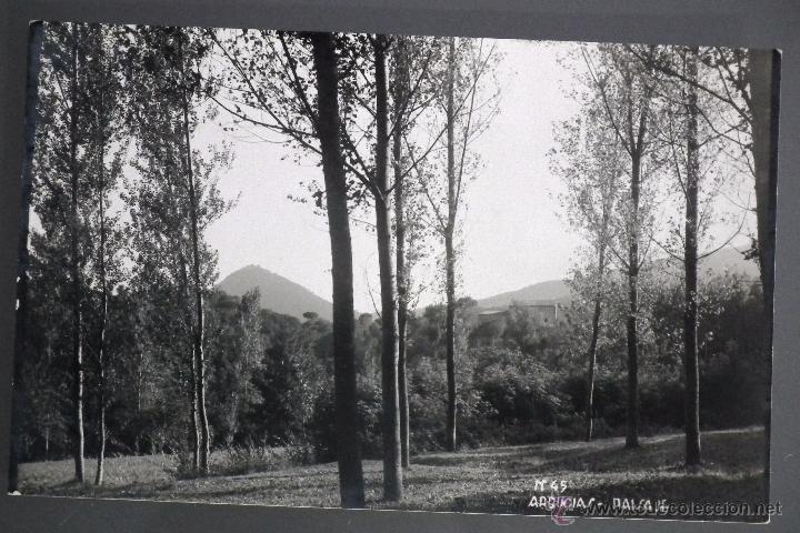 Postales: POSTAL DE ARB&Uacute;CIAS, N&ordm; 45 - PAISAJE. FOTOGR&Aacute;FICA S. CARRERAS