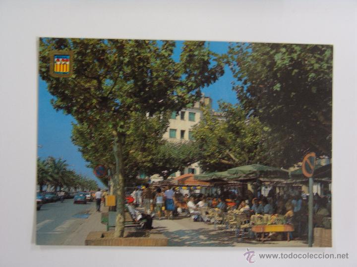Postales: POSTAL DE ROSES PLA&Ccedil;A SANT PERE - Foto 1