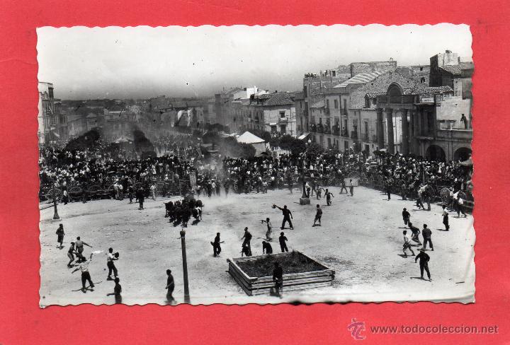 Postales: san carlos de la r&aacute;pita. 104 entrada de vaquillas. figols