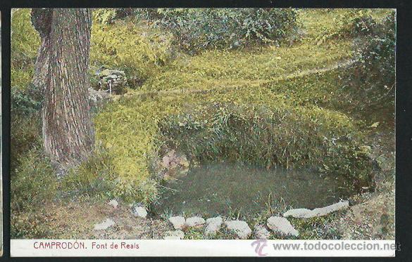 Postales: Camprodon. Font de reals. - Foto 1