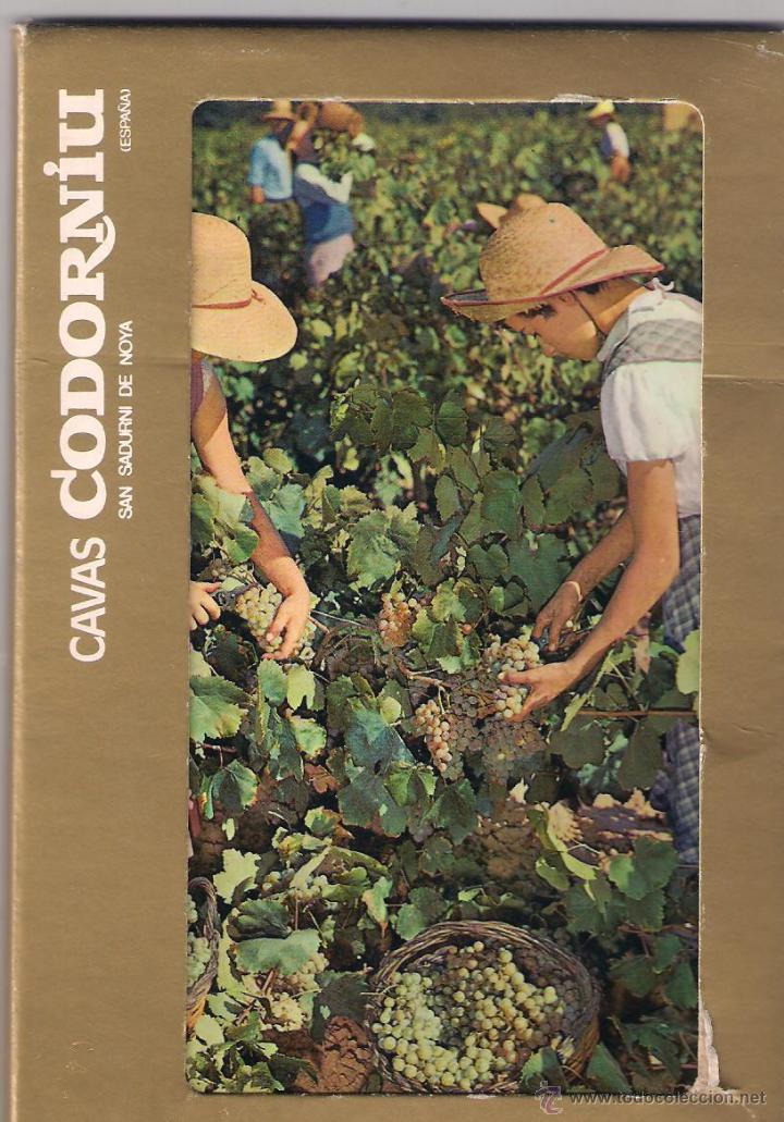 Postales: Carpeta 8 Postales cavas CODORNIU - Foto 1