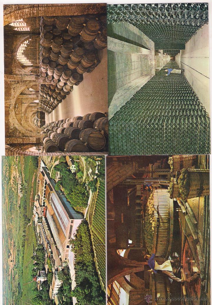 Postales: Carpeta 8 Postales cavas CODORNIU - Foto 3