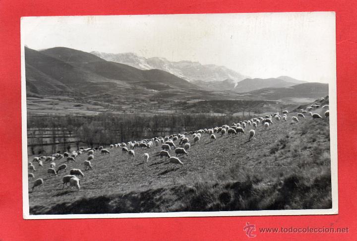 Postales: prullans - Foto 1