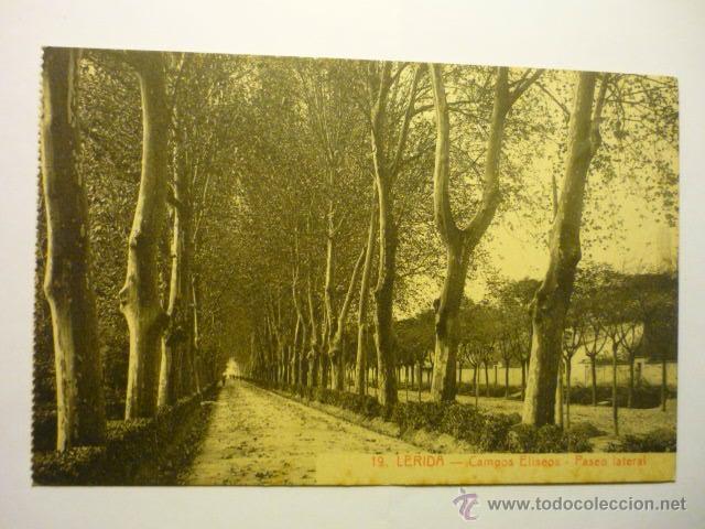 Postales: POSTAL LERIDA-CAMPOS ELISEOS PASEO LATERAL -BB