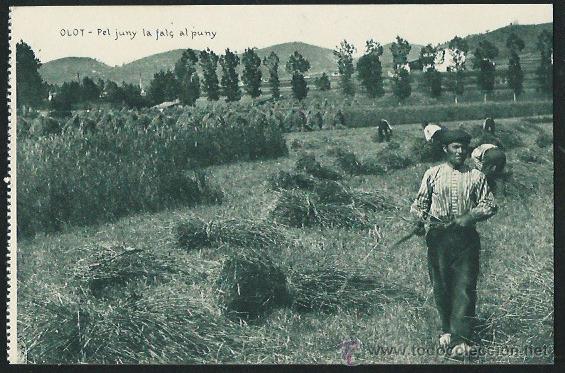 Postales: Olot. Pel Juny la fal&ccedil; al Puny. - Foto 1