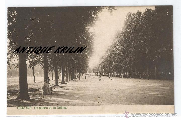 Postales: GERONA .- UN PASEO DE LA DEHESA - Foto 1