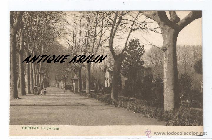 Postales: GERONA .- LA DEHESA .- EDITOR DESCONOCIDO - Foto 1