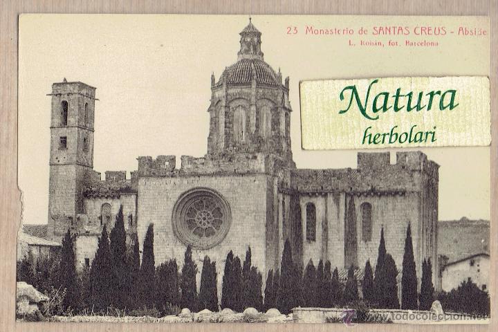 Postales: Postal Monasterio Santas Creus. &Aacute;bside. Santes Creus. Roisin 23
