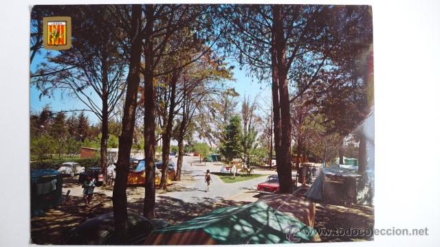 Lleida Parc Municipal De Les Basses Camping Buy Postcards