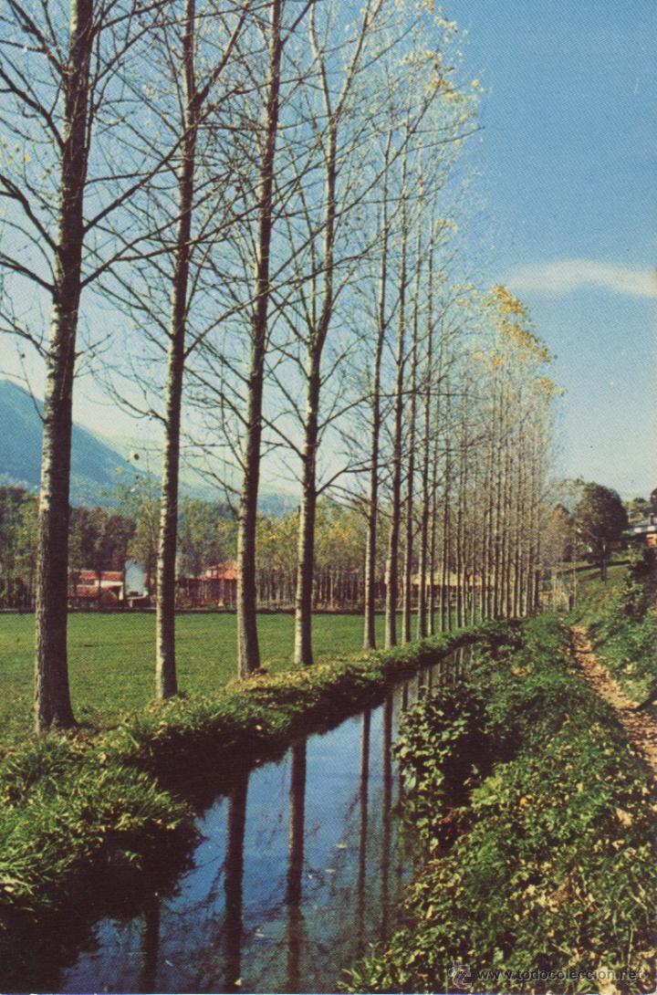 Postales: postal de camprodon afueras  - foto coma - Foto 1
