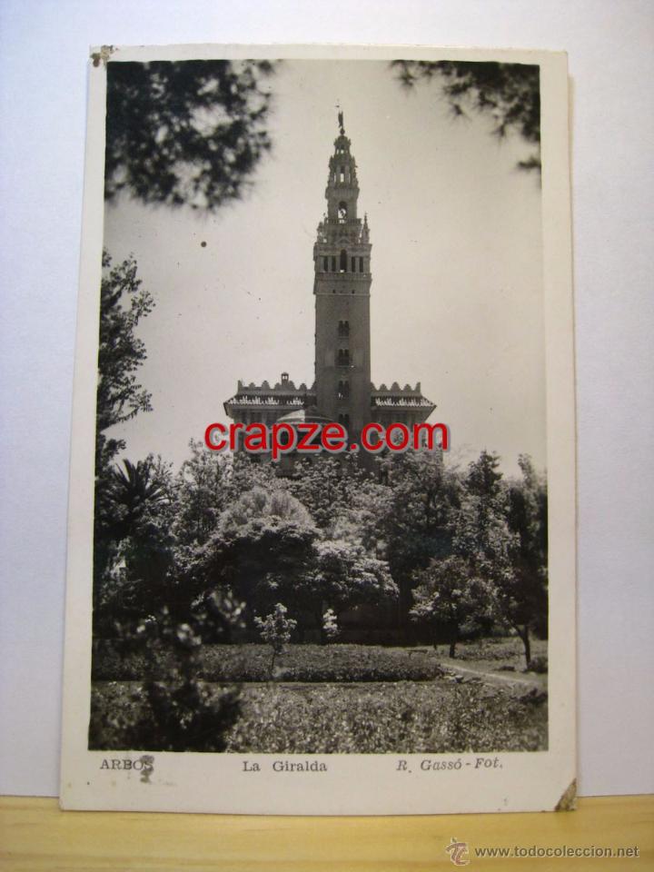 Postales: ARBOS: LA GIRALDA - POSTAL ORIGINAL - Foto 1