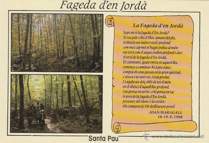 Cartes Postales: SANTA PAU, ZONA VOLCANICA DE LA GARROTXA, LA FAGEDA D'EN JORDA