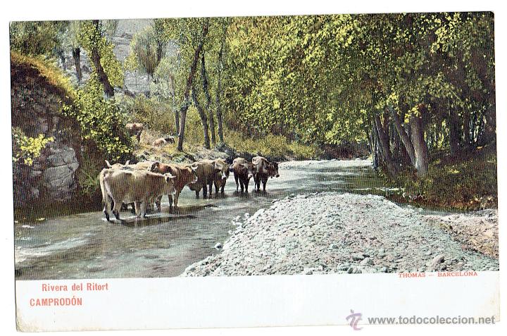 Postales: PS5755 CAMPROD&Oacute;N RIVERA DEL RITORT. THOMAS. CIRCULADA EN 1913 - Foto 1