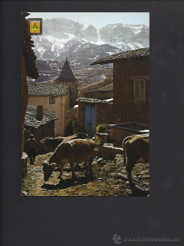 Postales: Quer-Foradat. Lleida - Foto 1