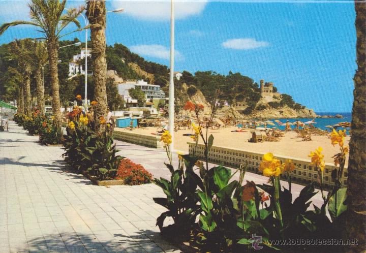 Postales: (646) LLORET DE MAR. PASEO DEL MAR - Foto 1