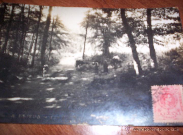 Postales: OLOT - LA PAJERA - Foto 1