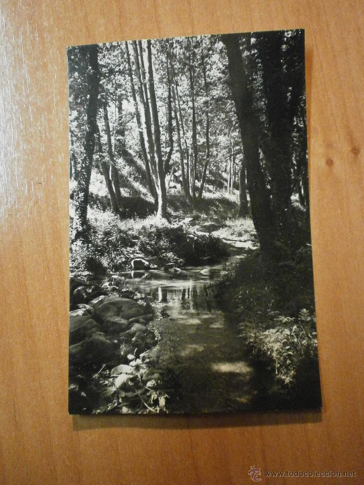 Postales: POSTAL GUALBA - LA RIERA CIRCULADA - Foto 1