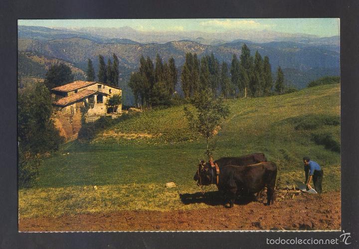 Postales: *Paisajes Espa&ntilde;oles. Pirineos* Ed. Fardi mod. n&ordm; 452. Nueva.