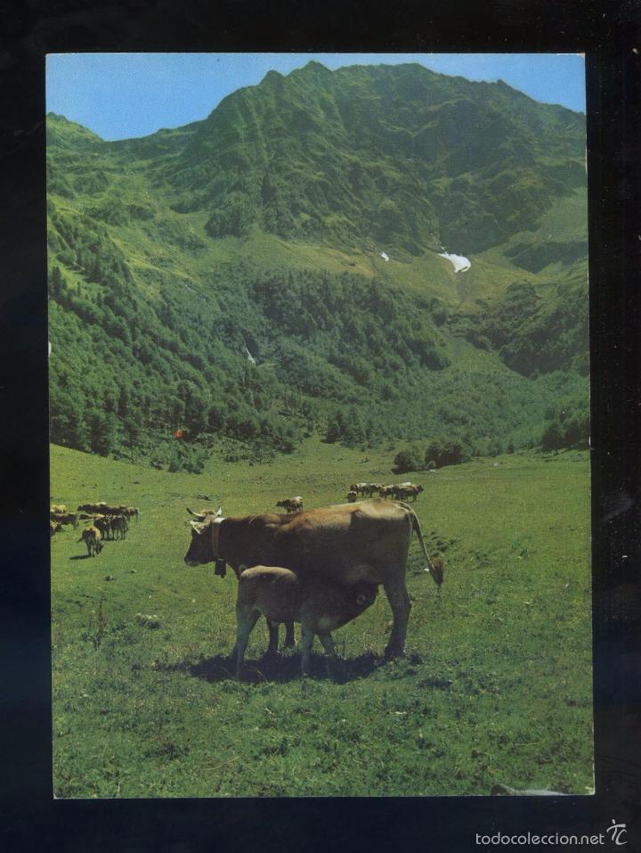 Postales: Era Artiga de Lin. *Artiga de Lin* Ed. Campa&ntilde;&aacute; - Puig Ferr&aacute;n serie II n&ordm; 1559. Circulada 1968.