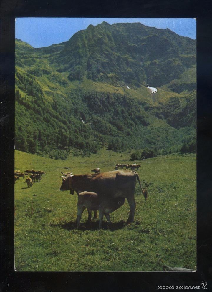 Postales: Era Artiga de Lin. *Artiga de Lin* Ed. Kolorham n&ordm; L-3760. Nueva.
