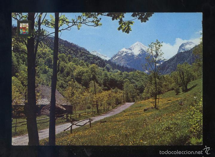 Postales: Era Artiga de Lin. *Paisatge. Cam&iacute; de l&acute;Artiga de Lin* Ed. Fisa n&ordm; 349. Al dorso *Cedosa*. Nueva.