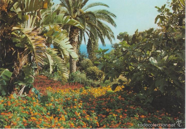 Postales: (4440) BLANES. JARDIN BOTANICO - Foto 1