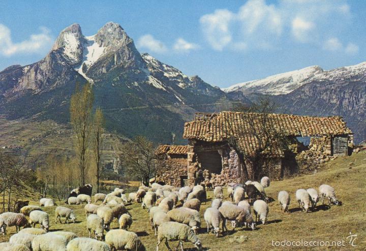 Postales: postal n&ordm; 210 saldes - pedraforca - Foto 1
