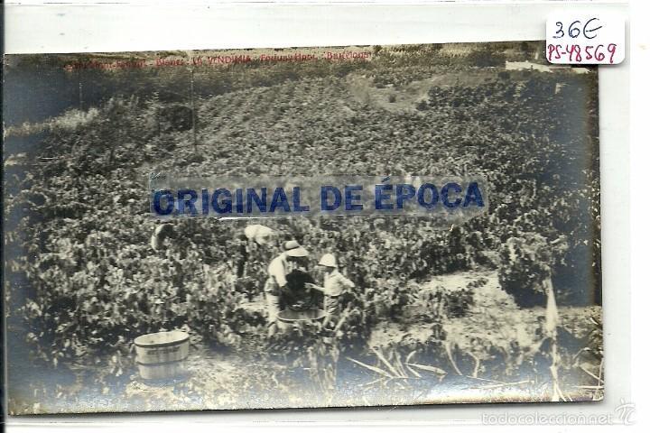 Postkarten: (PS-48569)POSTAL FOTOGRAFICA DE BLANES-CAVES MONT-FERRANT FORTUNY HERMANOS