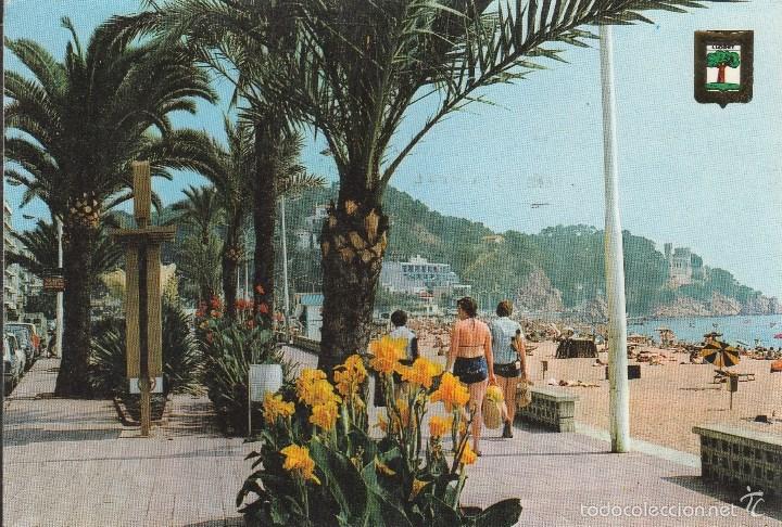 Postales: N&ordm; 25963 POSTAL LLORET DE MAR GIRONA - Foto 1
