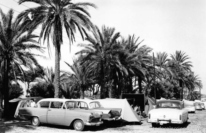 Postales: TARRAGONA.- CAMPING LAS PALMERAS.- UN DETALLE