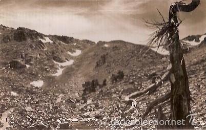 Postales: ANTIGUA POSTAL 24 ESPOT PALLARS PORTARRO DE ESPOT CUYAS
