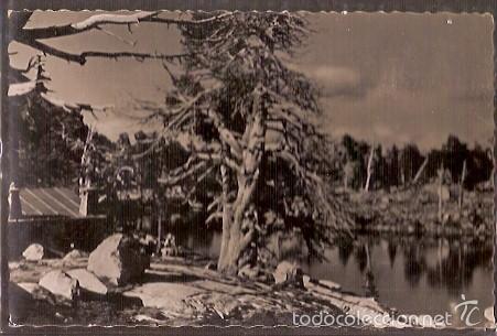 Postales: ANTIGUA POSTAL 41 VALLE DE ESPOT LERIDA REFUGIO DE J MARIA BLANCH DE C E C JUNTO AL LAGO TORT