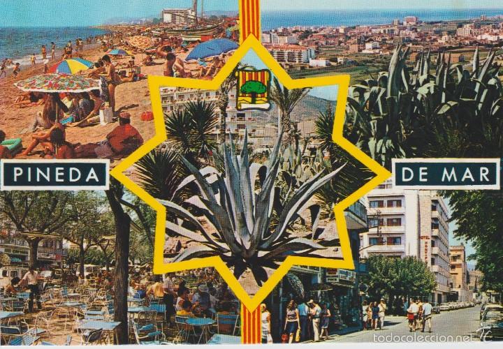 Postales: (1620) PINEDA DE MAR .. SIN CIRCULAR - Foto 1