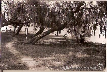 Postkarten: ANTIGUA POSTAL N&ordm; 3 BA&Ntilde;OLAS PARAJE EDICIONES FOTOGRAFICAS BOSCH