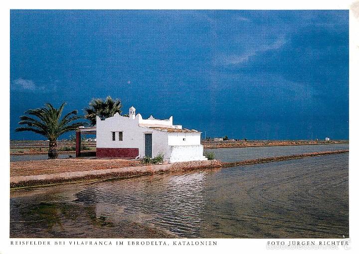 Postales: deltebre - Foto 1