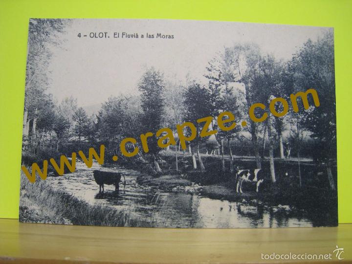 Postales: OLOT: EL FLUVIA A LAS MORAS - THOMAS - POSTAL ORIGINAL - Foto 1
