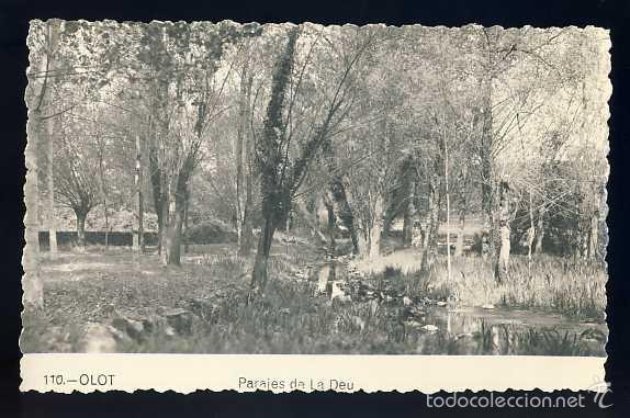 Postales: Postal d OLOT: Paratges de la Deu (num. 110) - Foto 1